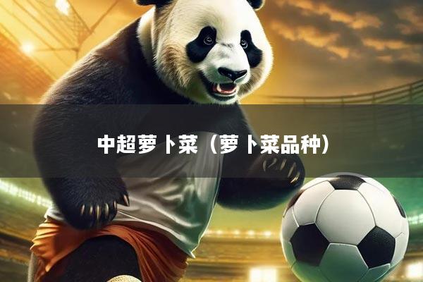 中超萝卜菜（萝卜菜品种）