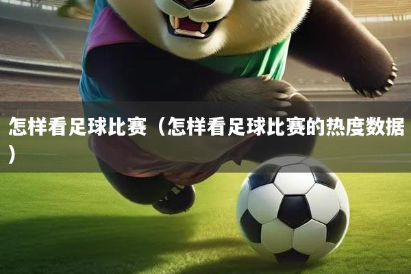 怎样看足球比赛（怎样看足球比赛的热度数据）