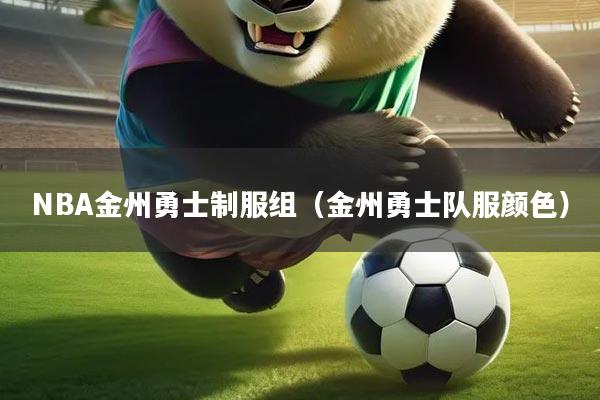 NBA金州勇士制服组（金州勇士队服颜色）
