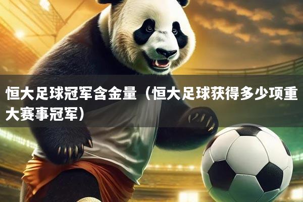 恒大足球冠军含金量（恒大足球获得多少项重大赛事冠军）