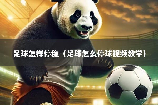 足球怎样停稳（足球怎么停球视频教学）