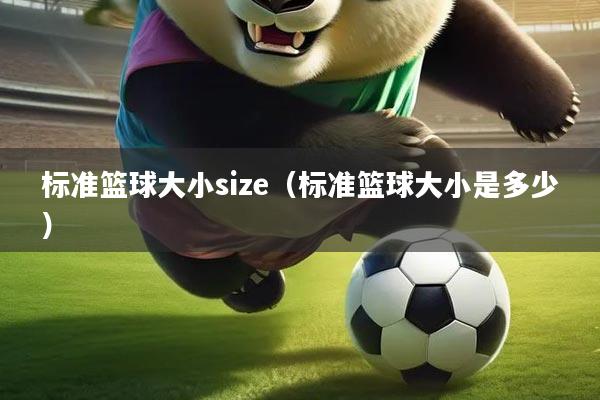 标准篮球大小size（标准篮球大小是多少）